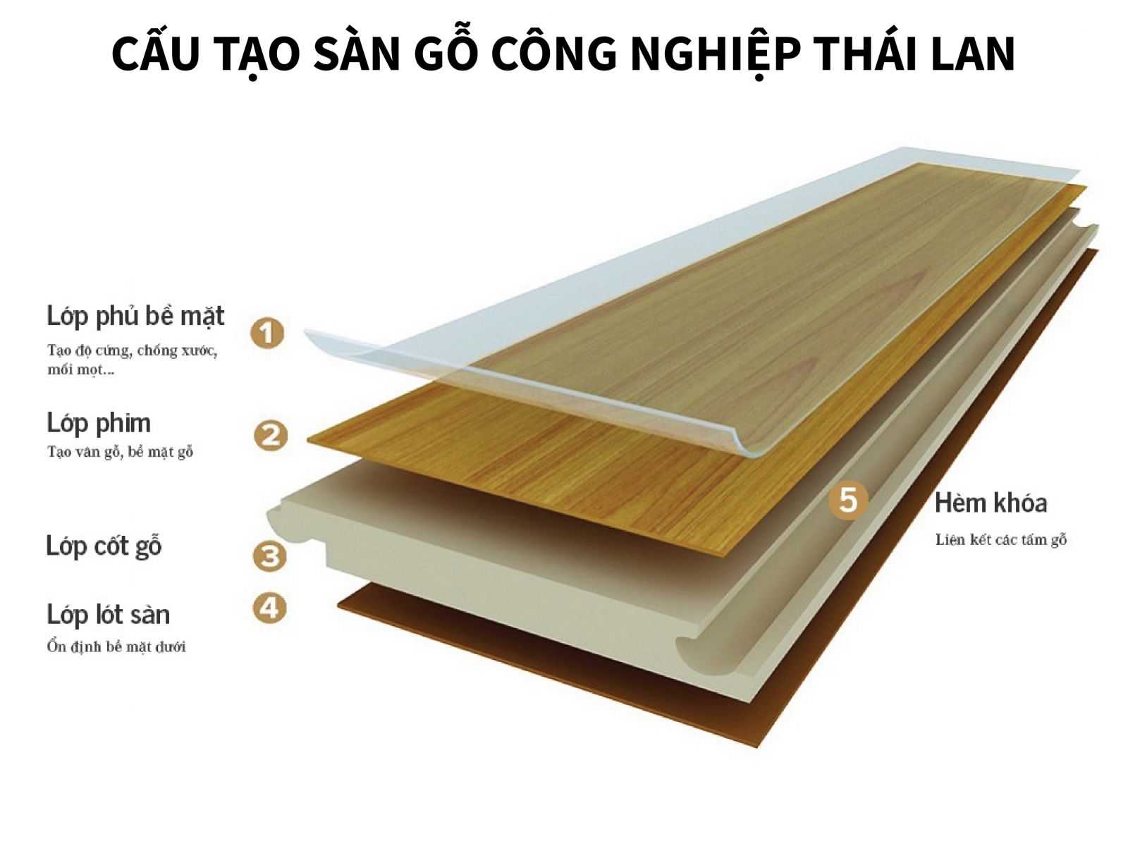 Cấu tạo sàn gỗ công nghiệp Thái Lan