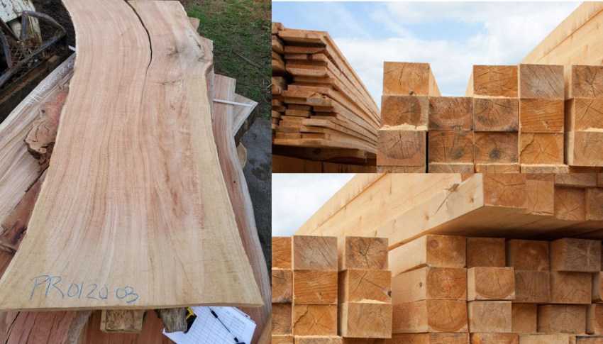 Đặc điểm của gỗ tự nhiên bằng lăng