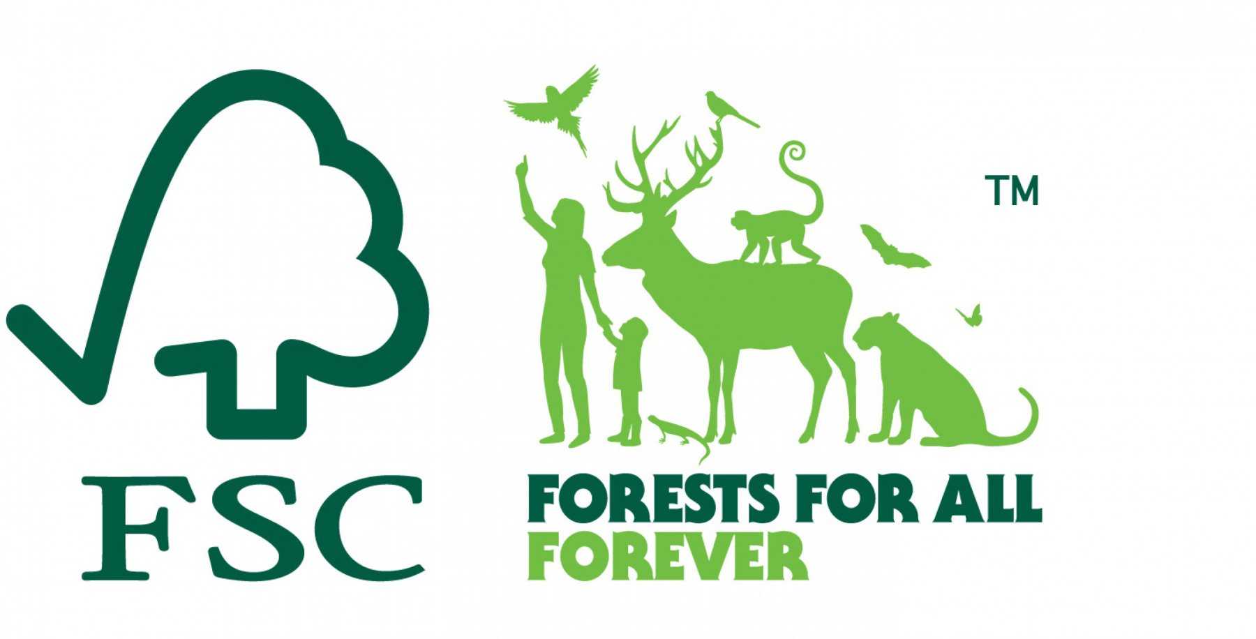 FSC Certificate góp phần bảo vệ môi trường và hệ sinh thái tự nhiên rất hiệu quả 
