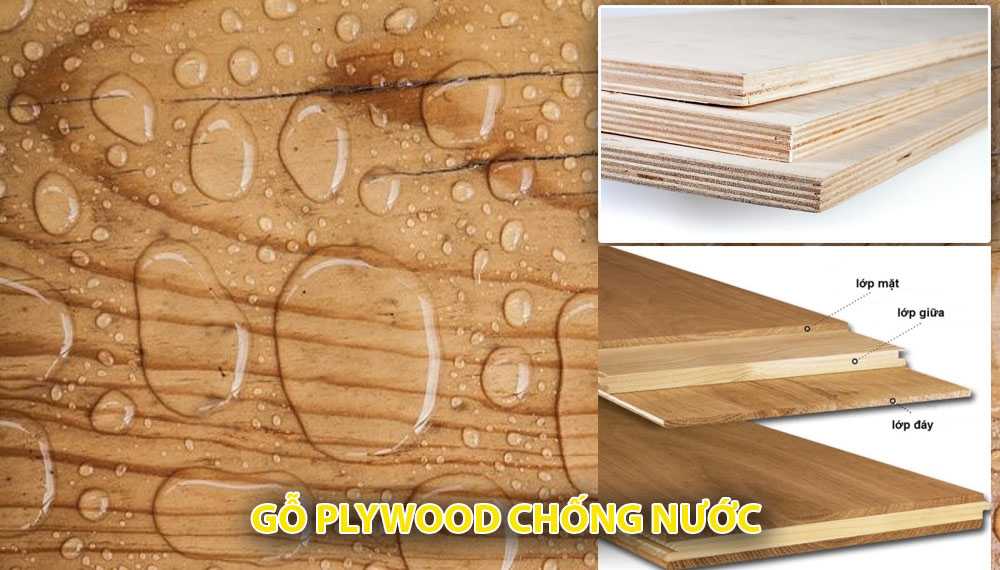 Gỗ ván ép Plywood được người dùng đánh giá cao