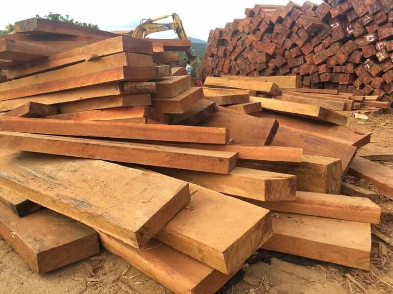 Đặc điểm của gỗ Gõ Đỏ Nam Phi