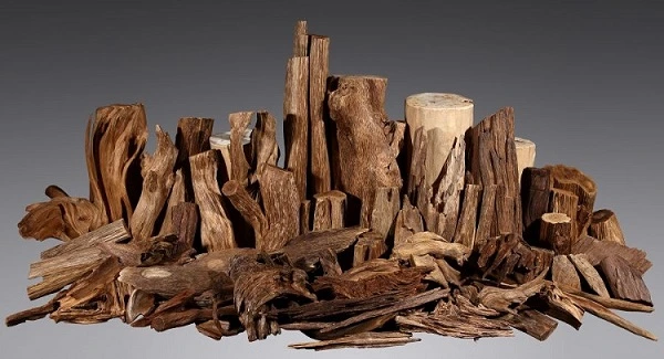 Top 7 loại gỗ quý nhất Việt Nam: Gỗ Trầm Hương