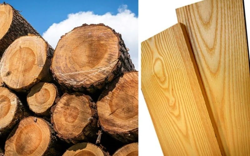 Có 4 loại gỗ Chò Chỉ