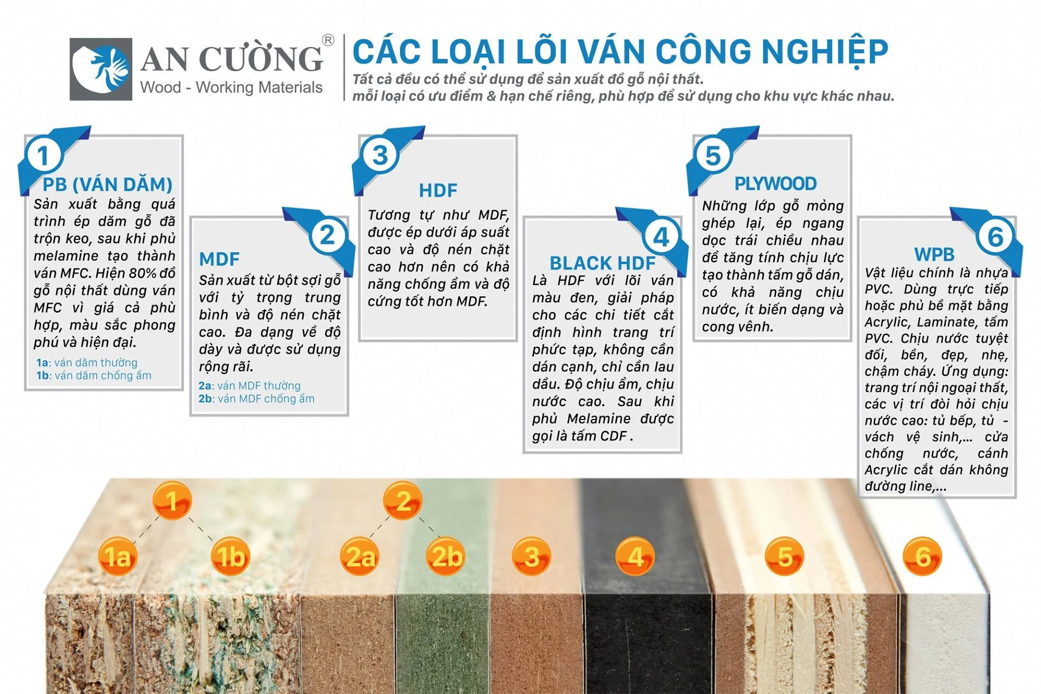 Đặc điểm của gỗ An Cường