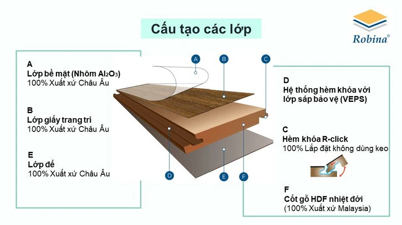 Cấu tạo của Sàn gỗ Robina gồm 4 lớp