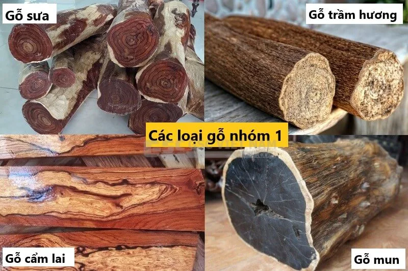 Các loại gỗ nhóm 1, 1A tại Việt Nam? Đặc tính và ứng dụng?